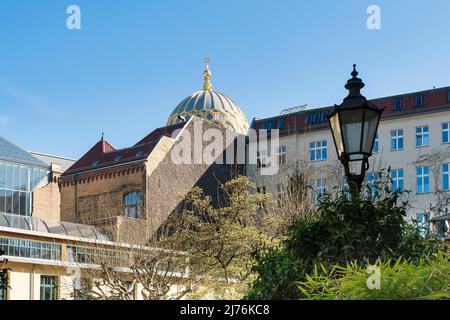 Berlin, Mitte, Oranienburger Straße, historische Heckmannhöfe, Blick auf die Neue Synagoge Stockfoto