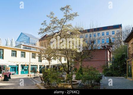 Berlin, Mitte, Oranienburger Straße, historische Heckmannhöfe, Innenhof Stockfoto