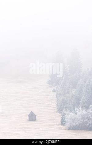 Ein kleiner Heuhaufen am Geroldsee, auch Wagenbrüchsee genannt, in den bayerischen Alpen im dichten Nebel und im Herbst im Hochfrost am Berghang. Stockfoto