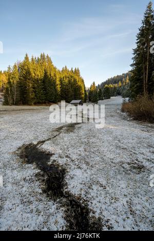 Eine kleine Heuscheune auf einer Moorwiese im Reifrost. Ein kleiner Bach führt zur Hütte auf der Lichtung Stockfoto