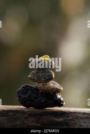 Verschiedene Arten von Steinkieseln und winziges Meerglas-Gleichgewicht auf einem Lavastein Stockfoto