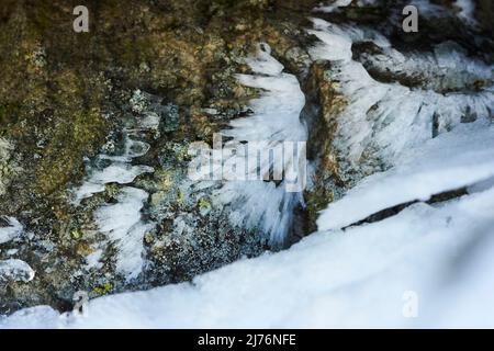 Eiskristalle auf Pflanzenresten, Bayern, Deutschland Stockfoto