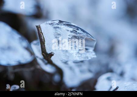 Eiskristalle auf Pflanzenresten, Bayern, Deutschland Stockfoto
