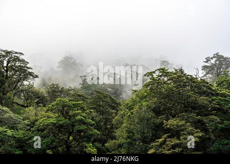 Ein neuer Morgen dämmert am Doutful Sound, Wolken hängen tief in den Bergen, Südinsel von Neuseeland Stockfoto