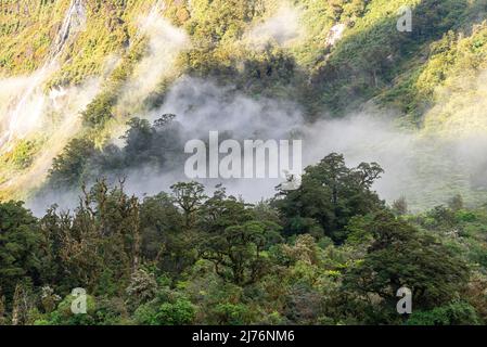 Ein neuer Morgen dämmert am Doutful Sound, Wolken hängen tief in den Bergen, Südinsel von Neuseeland Stockfoto