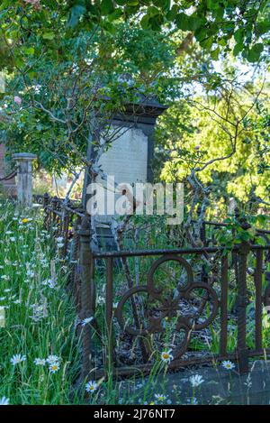 Alte Grabsteine auf dem Bolton Street Cemetery in Wellington, Neuseeland Stockfoto