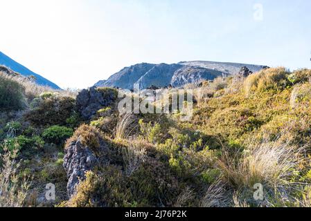 Wandern auf dem Tongariro Alpine Crossing, Northern Circuit des Tongariro National Park in Neuseeland Stockfoto