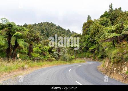 Kurvige Straße im Stadtteil Whanganui, Neuseeland Stockfoto