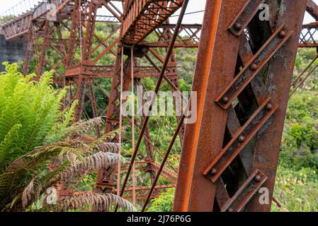 Alte, ungenutzte Eisenzugbrücke an der Old Coach Road, Nordinsel Neuseelands Stockfoto