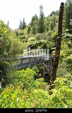 Tour auf dem unberührten Whanganui Fluss und durch den umliegenden Dschungel, Nordinsel von Neuseeland Stockfoto