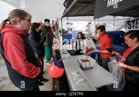 Richmond, British Colombia, Kanada. 6. Mai 2022. Am 6. Mai 2022 stehen die Leute an, um an Steveston Fisherman's Wharf in Richmond, British Columbia, Kanada, Garnelen zu kaufen. Die diesjährige Erntezeit der Spotgarnelen von British Columbia hat begonnen und wird 30 bis 40 Tage dauern. (Foto von Liang Sen/Xinhua) Quelle: Xinhua/Alamy Live News Stockfoto