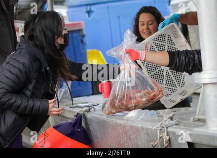 Richmond, British Colombia, Kanada. 6. Mai 2022. Ein Kunde kauft am 6. Mai 2022 in Steveston Fisherman's Wharf in Richmond, British Columbia, Kanada, Garnelen. Die diesjährige Erntezeit der Spotgarnelen von British Columbia hat begonnen und wird 30 bis 40 Tage dauern. (Foto von Liang Sen/Xinhua) Quelle: Xinhua/Alamy Live News Stockfoto