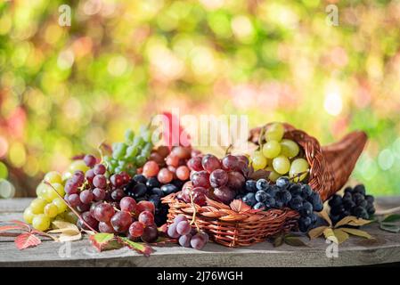 Trauben auf altem Holztisch und verschwommener farbenfroher Herbsthintergrund. Vielfalt an reifen, bunten Trauben als Symbol für herbstliche Füllhorn oder ab Stockfoto
