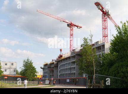 The Meadows an der University of Essex in Colchester. Die Arbeiten an dem Erweiterungsprojekt, das mehr Studentenunterkünfte bietet, kommen voran Stockfoto