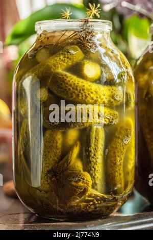Eingelegte Gurken in einem Glas, hausgemachte Konserven aus der Nähe. Stockfoto