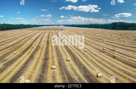 Aerial view of harvested wheat field and blue sky at the background. Haystacks lay upon the agricultural field. Photo is taken with drone. Stockfoto