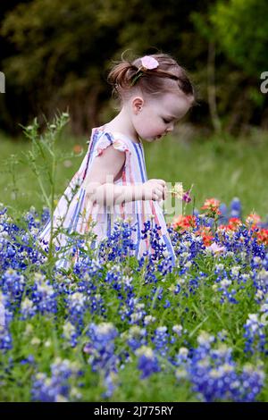 Ein schönes kleines Mädchen in einem Feld von blauen und orangen Wildblumen hält eine Blume hoch, die ihre Mutter sehen kann. Stockfoto