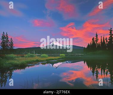 Mt Washington von Big Lake, Oregon Stockfoto