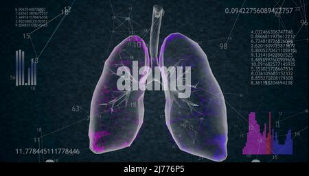 Rotierendes 3D-Modell mit 360 niederpolygonalen Lungen auf schwarzem Hintergrund und animierten Zahlen. 3D-Illustration Stockfoto