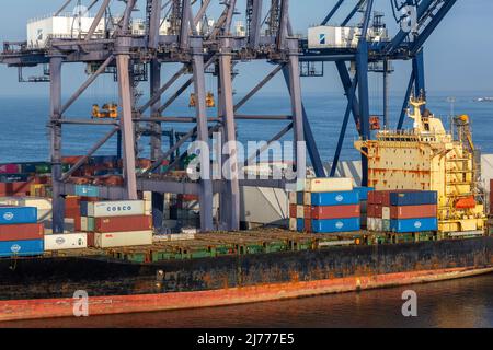 Containerschiff Future, Ensenada International Conatainer Terminal, Baja California, Mexiko Stockfoto