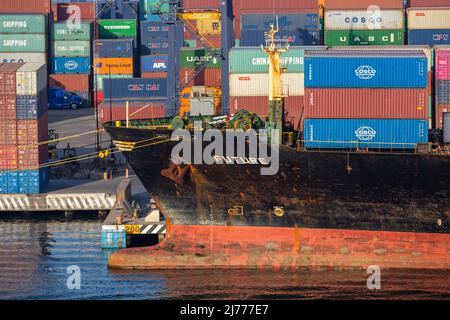Containerschiff Future, Ensenada International Conatainer Terminal, Baja California, Mexiko Stockfoto