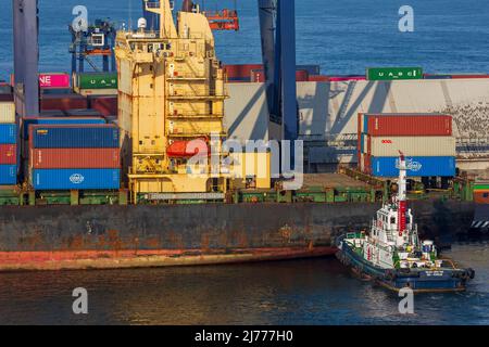 Containerschiff Future, Ensenada International Conatainer Terminal, Baja California, Mexiko Stockfoto
