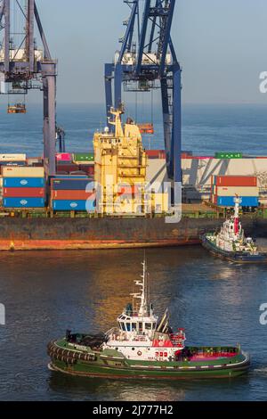 Containerschiff Future, Ensenada International Conatainer Terminal, Baja California, Mexiko Stockfoto