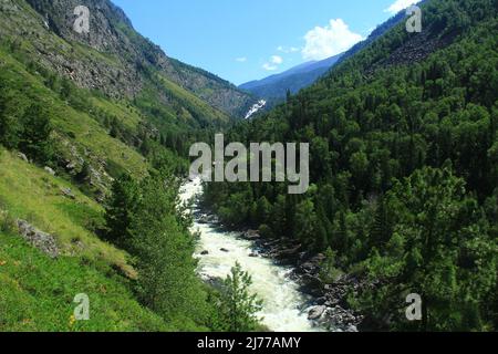 Alpenfluss vom UCHAR Wasserfall im Akkurum-Trakt im Altai in den riesigen Bergen mit einem Wald im Sommer Stockfoto