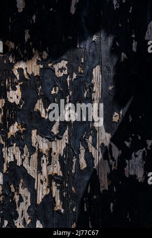 Durch Feuchtigkeit löste sich die Farbe von einer Holztür. Stockfoto