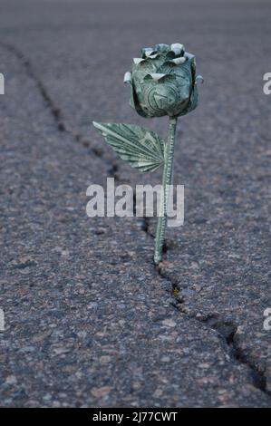 Origami Geldpflanze wächst aus Riss in der Straße Stockfoto