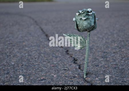 Origami Geldpflanze wächst aus Riss in der Straße Stockfoto