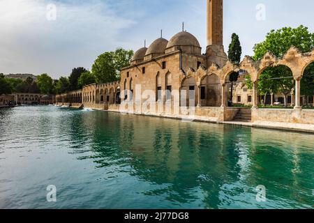 Balikligol (der Fischsee auf Englisch) in Sanliurfa, Türkei. Der historische Pool von Abraham oder der Pool von Sacred Fish in der Stadt Urfa, Türkei Stockfoto