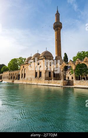 Balikligol (der Fischsee auf Englisch) in Sanliurfa, Türkei. Der historische Pool von Abraham oder der Pool von Sacred Fish in der Stadt Urfa, Türkei Stockfoto
