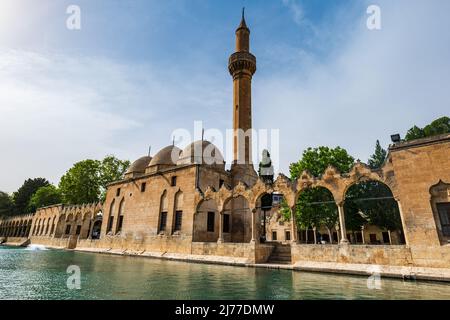 Balikligol (der Fischsee auf Englisch) in Sanliurfa, Türkei. Der historische Pool von Abraham oder der Pool von Sacred Fish in der Stadt Urfa, Türkei Stockfoto