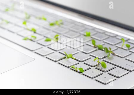 Grünes Geschäft, Sämlinge wachsen in einer silbernen Tastatur eines Laptop-Computers, Symbol des Wachstums der umweltfreundlichen und nachhaltigen Wirtschaft, Kopierer, wählen Stockfoto