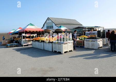 Straßenrand Highway Barn Frische Produkte stehen für Reisende in der Nähe von Monterey und Moss Landing in Nordkalifornien; Farm frische Produkte, Obst, Gemüse. Stockfoto