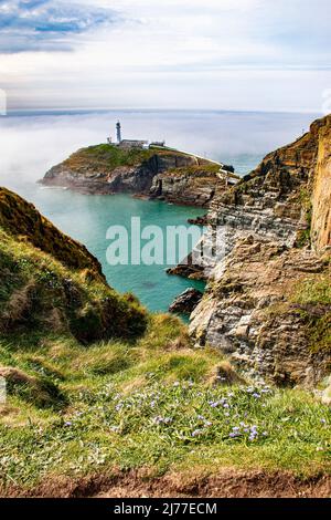 Dramatische Klippen und South Stack Lighthouse, Holyhead, durch den Morgennebel, Angelsey, Nordwales Stockfoto