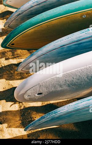 Nahaufnahme von bunten Paddelbrettern zum Mieten, die auf dem Sand liegen. Stockfoto