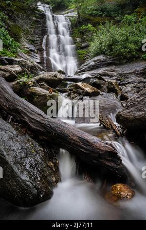 Tom's Creek Wasserfall Stockfoto