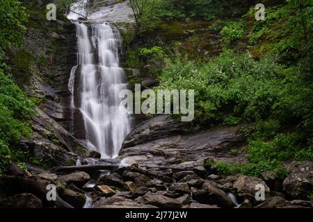 Tom's Creek Wasserfall Stockfoto