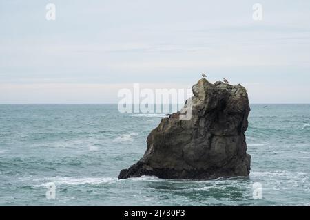 Seevögel ruhen auf einem großen, isolierten Felsen im Meer Stockfoto