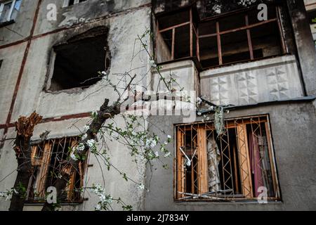 28. April 2022, Kharkiv, Kharkiv'ka Oblast'', Ukraine: Blumen sind vor zerstörten Wohnungen in Saltivka, nordöstlich von Kharkiv, zu sehen. Während Russland seine Truppen neu versorgt und die Offensive auf den östlichen Teil der Ukraine konzentriert hat, steht Charkow, die zweitgrößte Stadt der Ukraine, nun unter ständiger Bedrohung durch russische Bombardierungen und Luftangriffe. (Bild: © Alex Chan Tsz Yuk/SOPA Images via ZUMA Press Wire) Stockfoto