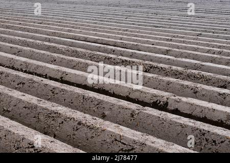 Hintergrund mit tief gepflügten geraden Furchen in der Erde notwendig für die Pflanzung von Saatkartoffeln. Kartoffeln werden in Kämmen angebaut Stockfoto