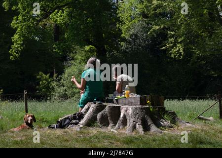 Zwei Frauen sitzen in der Sonne auf einem großen gesägten Stumpf im Wald, essen, trinken und reden. Ihr Hund steht neben ihnen und schaut in die Kamera Stockfoto