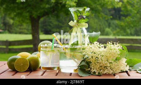 Hausgemachtes Sommergetränk mit Holunderblüte, garniert mit Holunderblüte, Limette, Zitrone; schöner Hintergrund zeigt natürlichen Garten Stockfoto