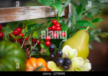 Gemüse aus dem Garten. Herbsternte. Gesunde Ernährung mit Vitaminen. Frisches Obst im Korb gesammelt. Von der Natur geschaffene Produkte. Stockfoto