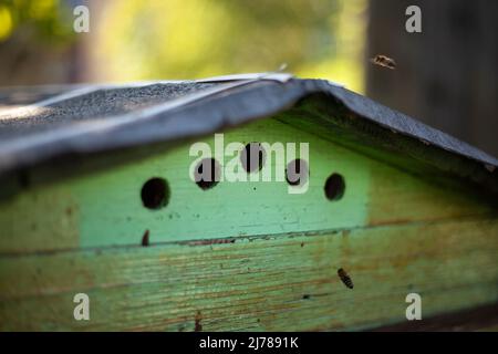 Details des Bienensteines. Haus für Bienen. Löcher für Bienen. Honig auf dem Bauernhof schaffen. Bienenhaus im Dorf. Stockfoto