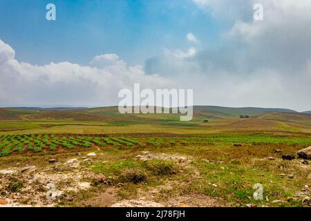 Am Berghang landwirtschaftlich bewirtschaftete Felder mit hellblauem Himmel am Morgen aus flachem Winkel Stockfoto