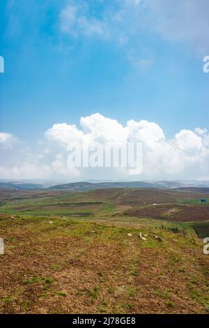 Am Berghang landwirtschaftlich bewirtschaftete Felder mit hellblauem Himmel am Morgen aus flachem Winkel Stockfoto