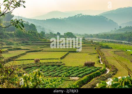 Landwirtschafts-Ackerfelder mit hellblauem Himmel am Morgen aus flachem Winkel Bild wird in Nongjrong meghalaya india aufgenommen. Stockfoto